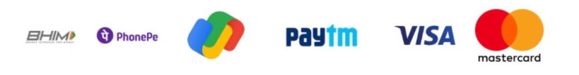 BHIM, PhonePe, Google Pay, Paytm, Visa and Mastercard